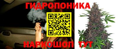 a pvp Бузулук