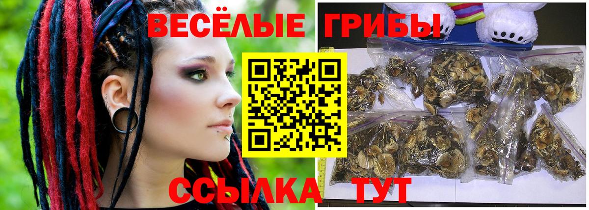 Галлюциногенные грибы прущие грибы  Вход с VPN  Унеча 